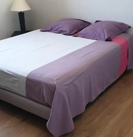 Le Castillet- Centre Ville Apartamento *